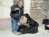 bebedobermann